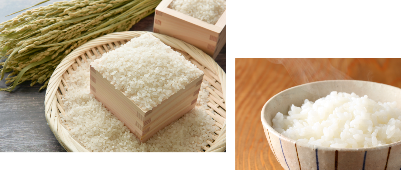 やのごはんの原料となるお米と炊き上がったごはん